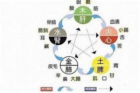 五行缺水 工作|五行缺水的人，如何在生活、工作、饮食、方位上去补充水的能量